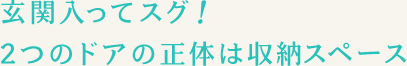 2つのドアの正体は収納スペース