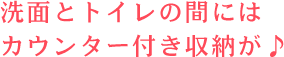 洗面とトイレの間にはカウンター付き収納が♪