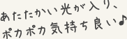 あたたかい光が入り、ポカポカ気持ち良い♪