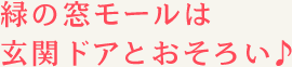 緑の窓モールは玄関ドアとおそろい♪