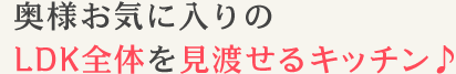 LDK全体を見渡せるキッチン♪