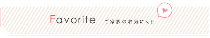 お気に入り