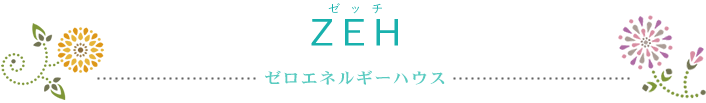 ZEH