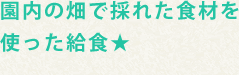 園内の畑で採れた食材を使った給食★