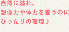 自然に溢れ、想像力や体力を養うのにぴったりの環境♪