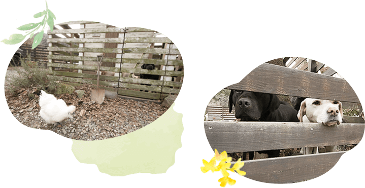 しまざき助産院の様子